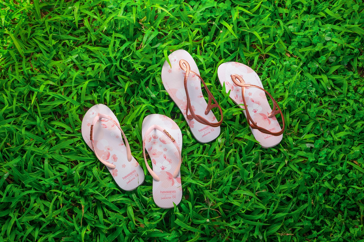 HAVAIANAS RA MẮT BST SAKURA 2022: HY VỌNG NỞ RỘ TRÊN TỪNG CÁNH HOA ANH ĐÀO